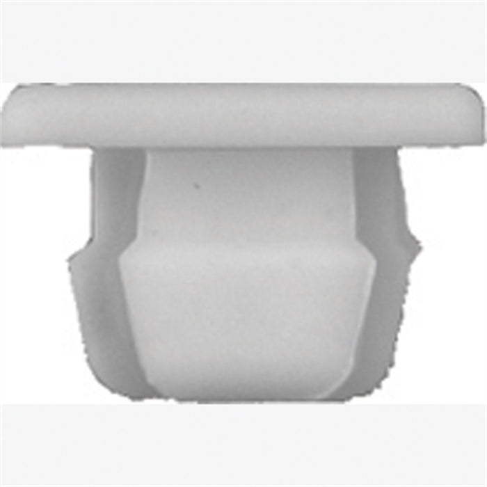 Lic Plt Nut Wht Plast GM 100