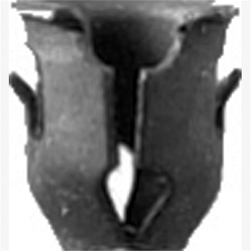 Barrel Nuts Black Ford 10 Pc