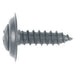 Philips Oval Head Trim Screw