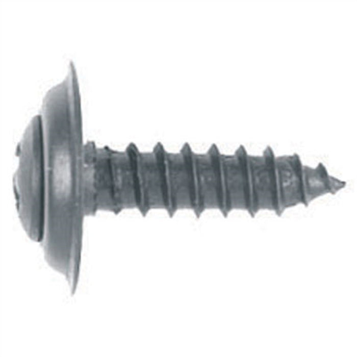 Philips Oval Head Trim Screw