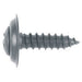 Philips Oval Head Trim Screw