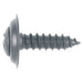 Philips Oval Head Trim Screw