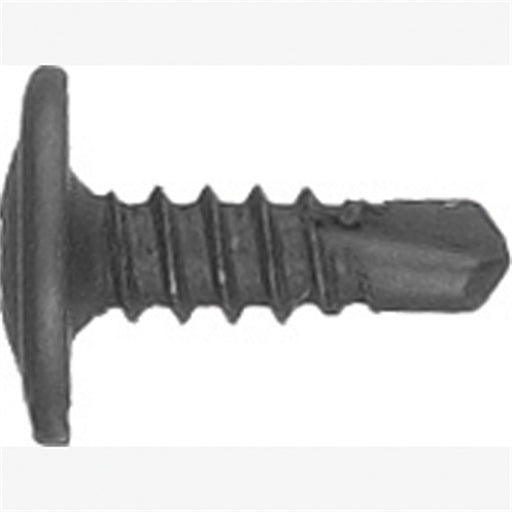 Ph Oval Screw Black 100 Pc.