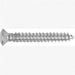 Met Torx Tim Screws-GM 100 Pc