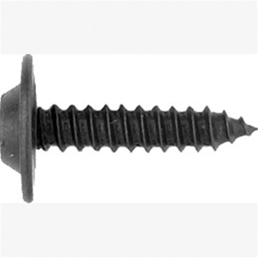 Ph Black Trim Screw 10  Pc.