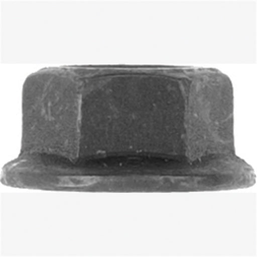 Metric Hex Flange Nut Blk 21mm