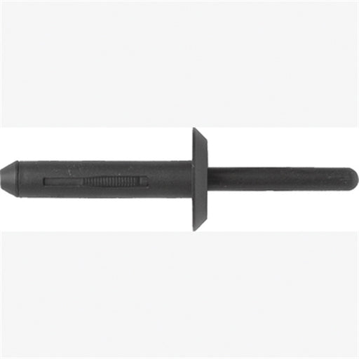 Blk Nyl Blind Rivets Ford