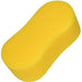 Giant Bone Sponge 8.75 x 4.75 x 3