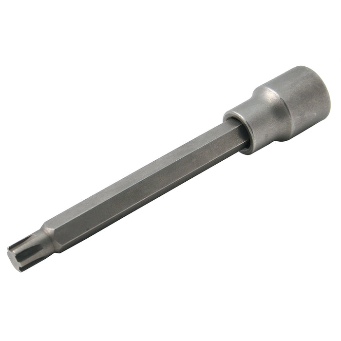 10mm Ribe Bit Socket