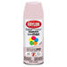 Colormaster Paint Ballet Slipper 12 oz.