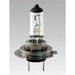 55 Watt Halogen