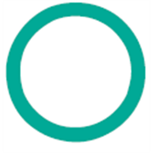 10pk/O'Ring