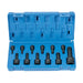 12PC TAMPERPROOF TORX