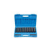 1/2"DR 13PC EXT DP SAE