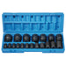19 PC 1/2" DR 12 PT STANDARD LENGTH FRACTIONAL SET