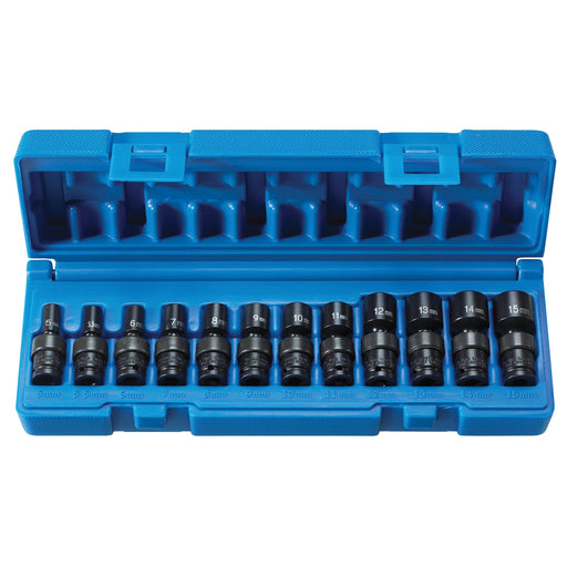 1/4" Drive 6 PT 12 PC Magnetic Std. Universal Set