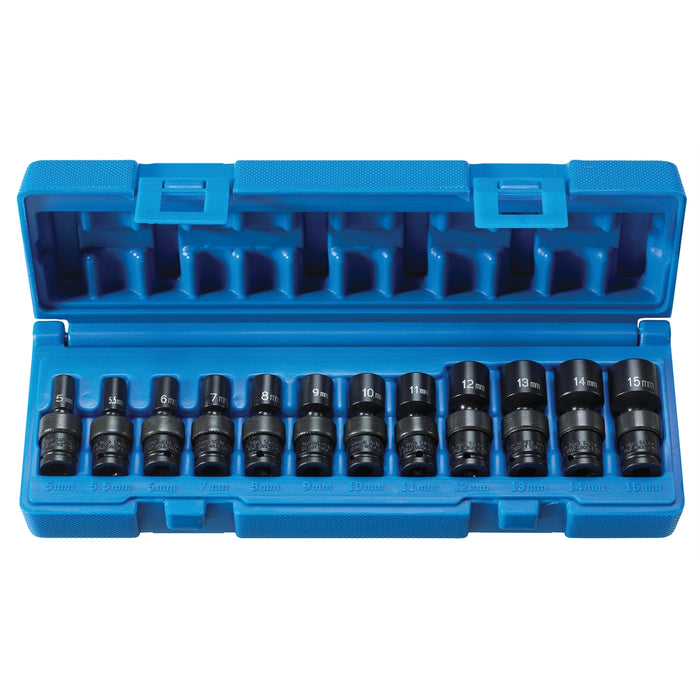 1/4" Drive 6 PT 12 PC Magnetic Std. Universal Set