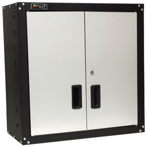 2-Door Wall Cabinet with 2 Shelves, Steel