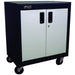 2 DOOR MOBILE CABINET W/ GLIDI