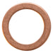 Brake Bleeder Copper Washers 7