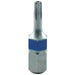 Tamperproof Torx Bit TH7 1/4" Drive