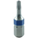 Tamperproof Torx Bit T8, 1/4" Dr