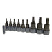 T-10 2-Piece Torx Bit