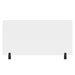 48" x 24" Clear Acrylic Divider w/ 2 Divider Wall