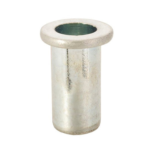 RIVET NUT 40PK