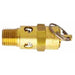 ASME Saf. Valve 1/4"NPT 200 PSI