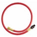 2' Snbr. Hose, 1/2" ID x 1/2" NPT