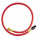 2' Snbr. Hose, 1/2" ID x 3/8" NPT