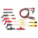 DELUXE TEST LEAD SET