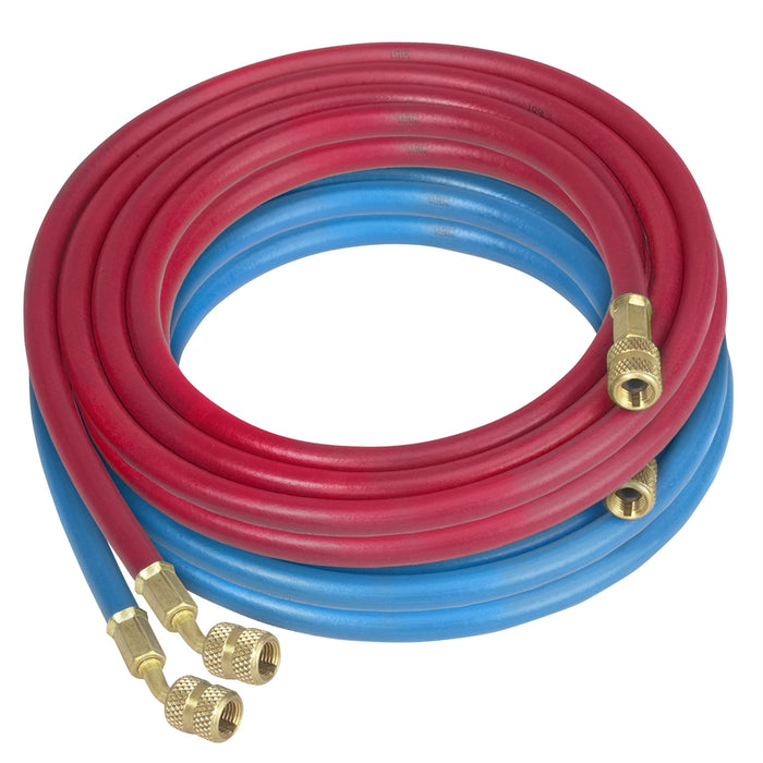 RED & BLUE HOSE KIT 20FT