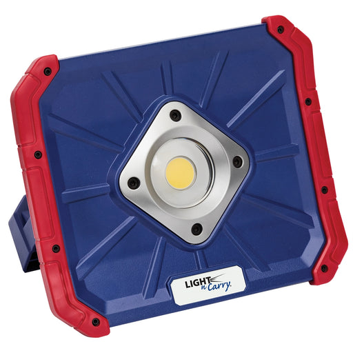 LED COB A/F/S Light, 4000lm Max