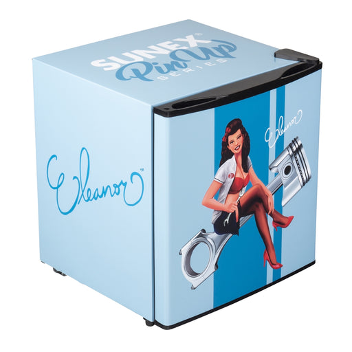 Mini-Fridge, Pinup Eleanor Design, 1.