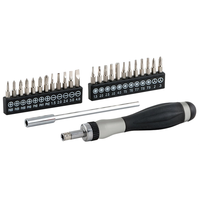 26-PC RATCHETING PRECISION SCREWDRI