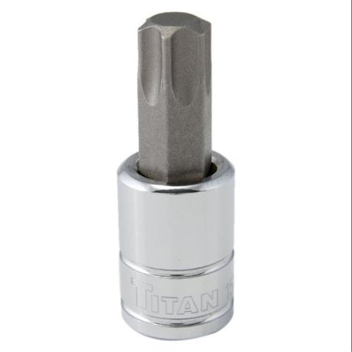 3/8" DR T55 TORX BIT SOCKET