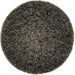 3" Surface Conditioning Disc Coarse Grit  (Brown)