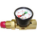 PRE-SET GAS FLOW REGULATOR 100PSI