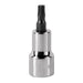 Tamper Proof Torx Bit T20