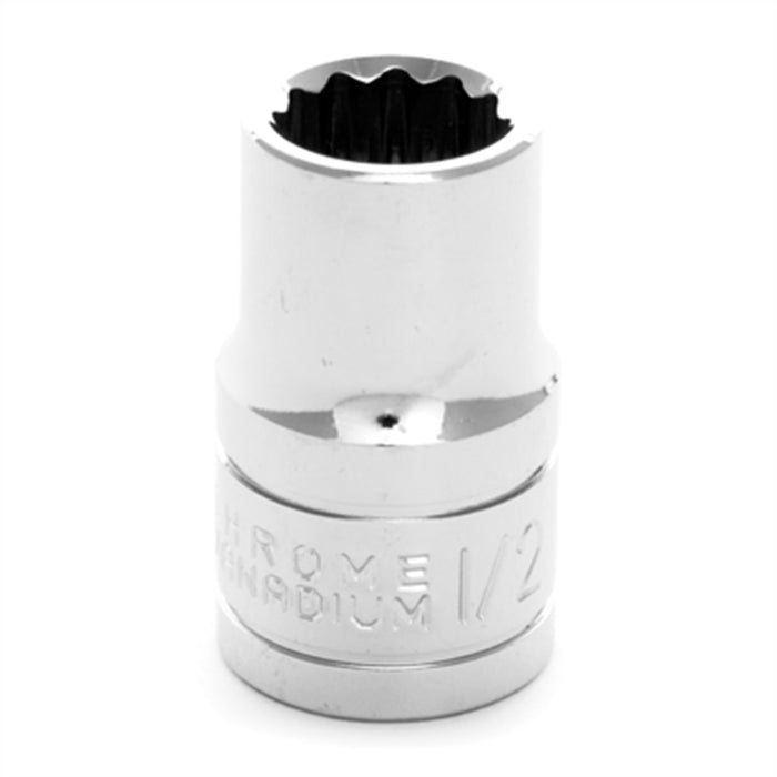 1/2" Dr 12pt Stndrd Skt 1/2"