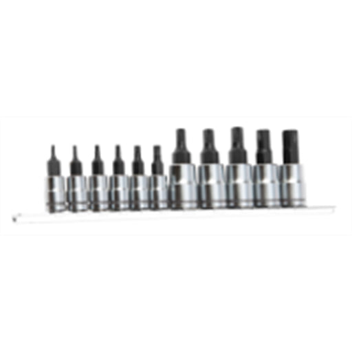 11pc X-Trax SAE Hex Bit Set