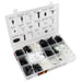 350pc GM Trim Clip Assortment