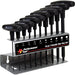 10 pc T-Handle Torx Set